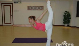 瑜伽入门视频,入门视频精华解析